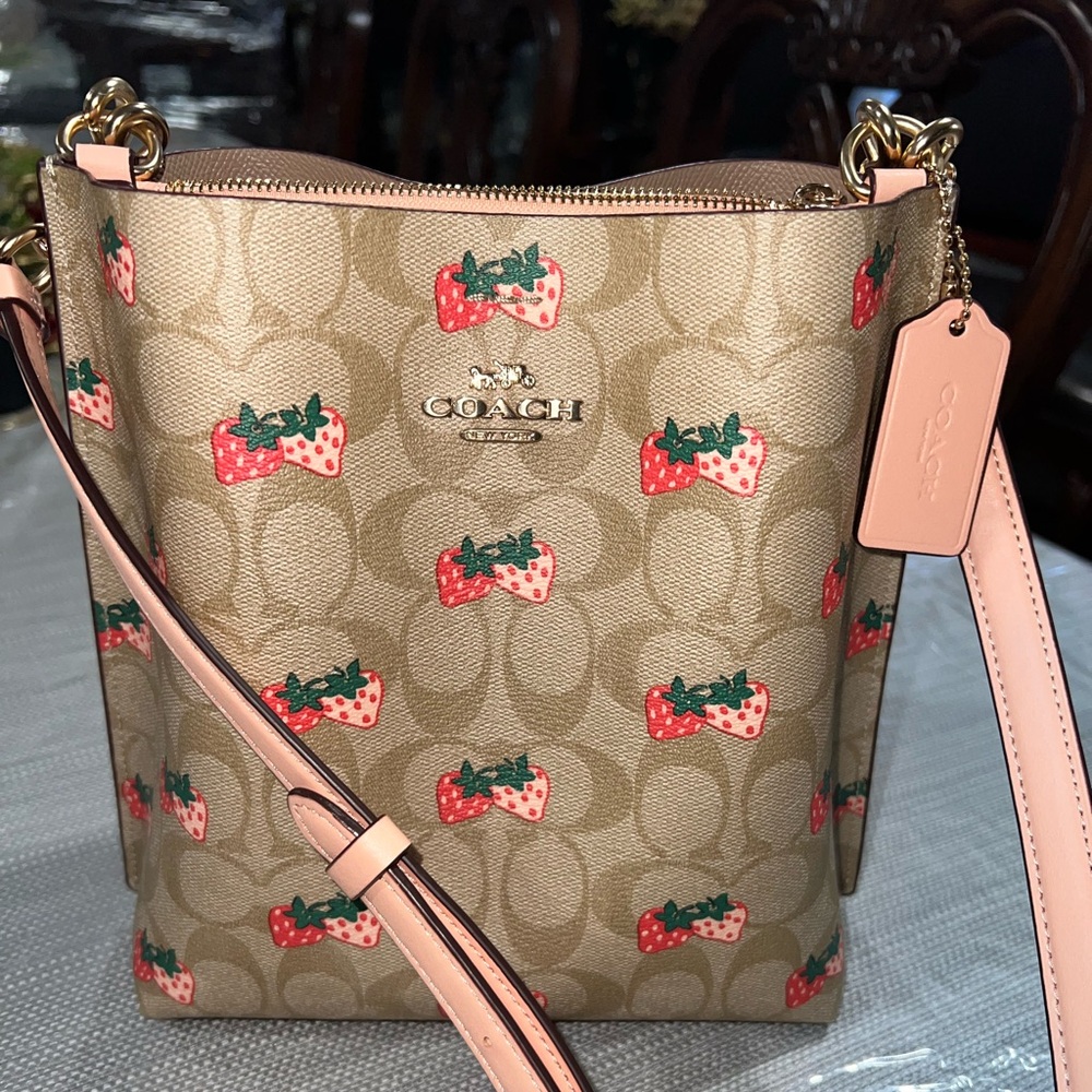 Strawberry Coach purse